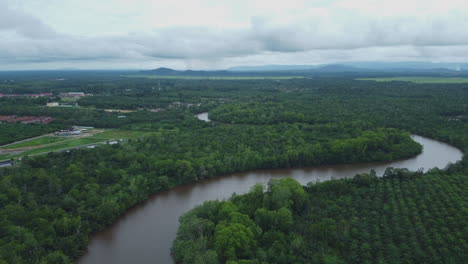 Drohne-Schoss-Ansicht-Von-ölpalmenfeldern-Und-Fluss-In-Pahang,-Malaysia