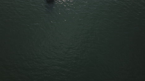 Segeltourismusboot-Auf-Dem-Wasser-In-Hong-Kong,-China