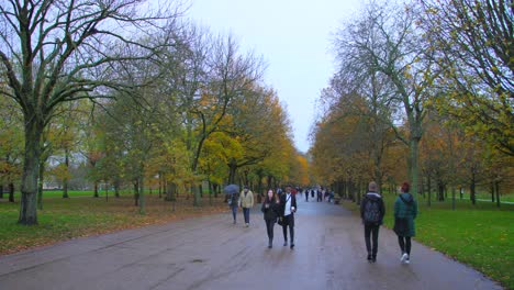 View-of-people-walking-in-the-path-way-of-regent's-park-during-the-wet-cloudy-weather