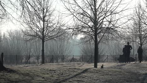 On-a-frosty-morning-dog-walkers-explore-the-grounds-of-Christ-Church-in-Oxford,-UK,-12