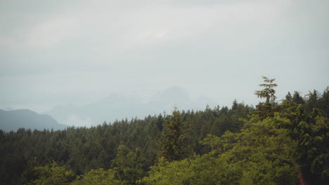 Timelapse-De-La-Costa-Oeste-De-Canadá-Naturaleza-Niebla