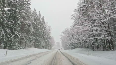 POV-shot-of-car-driving-on-a-snowy-road-in-the-middle-of-a-pine-tree-forest