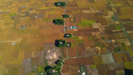 Luftaufnahme-Des-Landwirtschaftlichen-Ackerlandfeldes-Mit-Schmaler-Straße-Und-Häusern-In-Einem-Dorf-In-Bangladesch