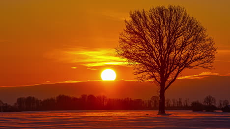 Rising-Bright-Yellow-Sun-Behind-Silhouette-Of-Tree-With-Orange-Sky-Background-On-Winter-Landscape