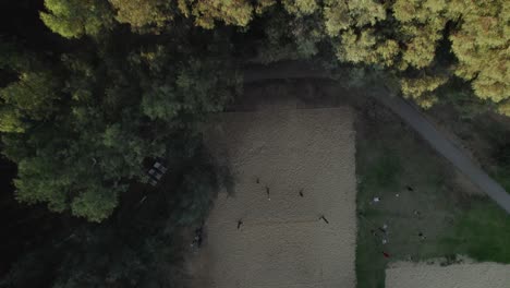 Top-down-reveal-above-the-trees-of-people-playing-Puccivelli-in-Ramat-Gan-National-Park-#009