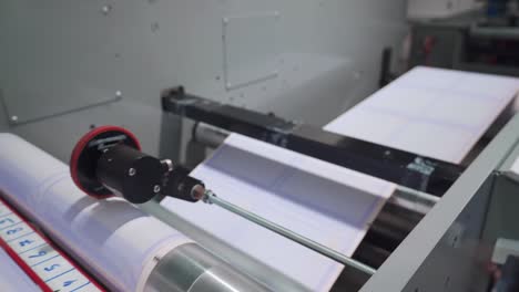 Long-Parchment-Paper-Printed-With-Borders-For-Diploma-In-A-Rolling-Machine