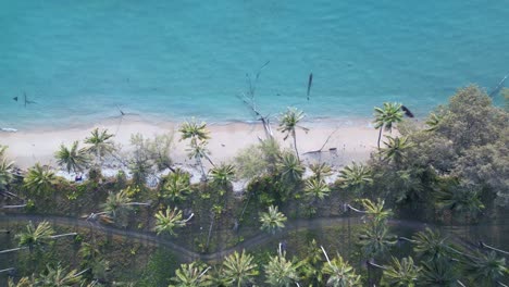 Coastline-turquoise-water,-dream-beach,-palm-trees
