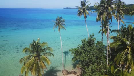 Coconut-palm-tree-on-beach,-turquoise-blue-crystal-clear-water