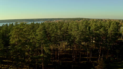 Private-residence,-pine-tree-forest-and-lake,-aerial-low-altitude-view