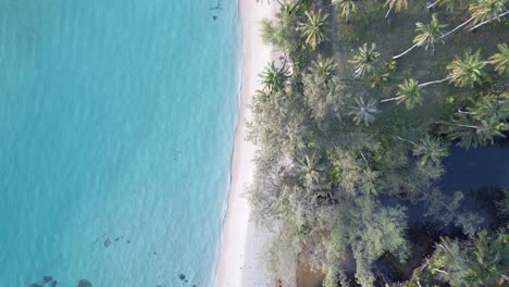 Turquoise-water-palm-trees-on-the-Taphao-natural-beach