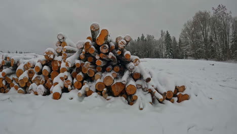 Cut-Timber-Log-Wood-Pile-Covered-In-Snow-Outside-In-Winter-Landscape