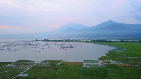 Fish-cage-in-sunrise-sky-and-rice-field-on-the-side-of-Rawa-Pening-lake