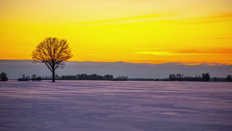 Beautiful-sunset-sky-through-frozen-field-and-clouds-moving-at-the-background,-Timelapse