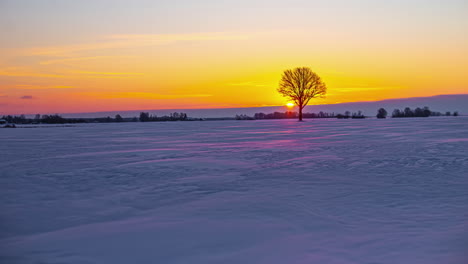 Golden-sky-sunrise-over-winter-agriculture-fields