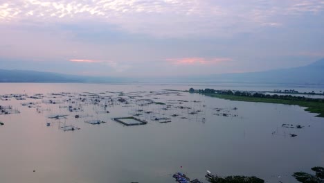 Aerial-view-of-several-floating-fish-cages-on-surface-of-Rawa-Pening-lake-at-sunrise,-Indonesia