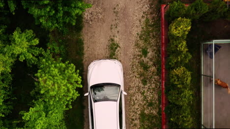 Medium-Aerial-Drone-Shot-of-White-Car-Arriving-Home-Down-Driveway