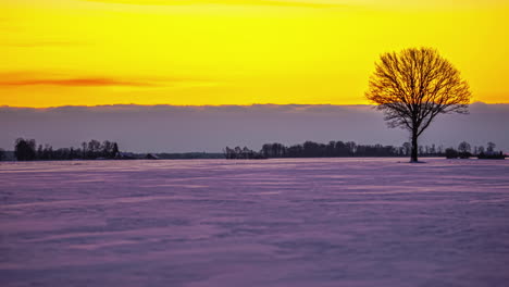 Silhouette-Of-Lone-Tree-On-Cold-Snow-Covered-Landscape-With-Rolling-Clouds-Going-Past-And-Golden-Orange-Sunset-Skies