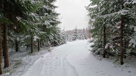 Pov-Caminando-Por-El-Sendero-Del-Bosque-A-Través-De-La-Nieve-Fría-Del-Invierno