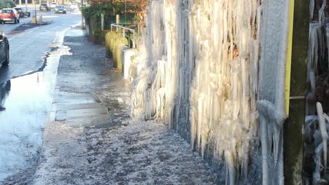 Unique-frozen-icicles-formation-on-British-bus-stop-public-road-hedge-during-bad-winter-weather