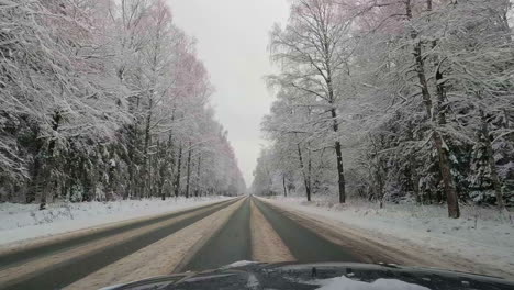 Point-of-View-of-car-driving-down-a-slushy-road-with-trees-filled-with-snow