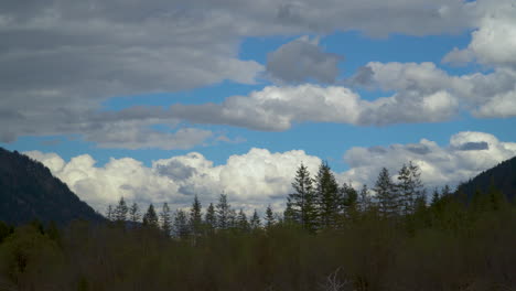 Slow-moving-clouds-above-Isar-river-woodland-valley-treetops
