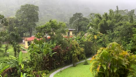 Heavy-rainfall-in-lush-tropic-garden-and-vibrant-green-vegetation