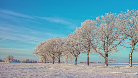 Schneebedecktes-Land-Und-Bäume-Unter-Strahlend-Blauem-Himmel-Tagsüber-Im-Winter