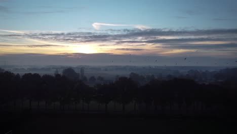 Sunrise-in-Helmond-city-with-the-birds-flying-across