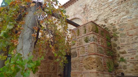 Grapevines-on-the-Wall-of-Old-Byzantine-Cathedral-in-Veria-or-Veroia,-historically-also-spelled-Berea