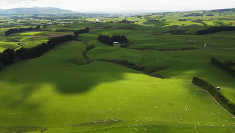 Birds-eye-view-of-green-farmlands-under-clouds-sky-in-Gore,-New-Zealand