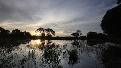 Vista-Del-Atardecer-De-Una-Laguna-En-El-Pantanal-Sur,-Reflejo,-Plantas-Acuáticas,-Puesta-De-Sol