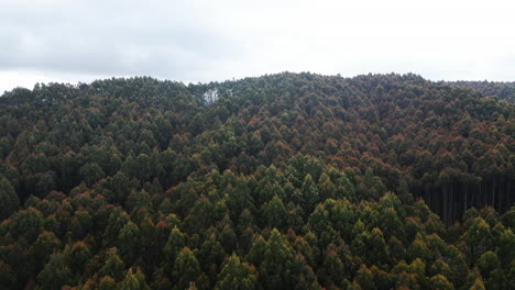 Slow-Aerial-dolly-left-shot-of-forest-over-hill-on-cloudy-day