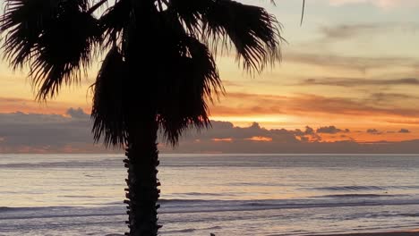 Erstaunlicher-Sonnenuntergang-In-Der-Tropischen-Palmenlandschaft-Mit-Palmen