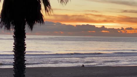 Surfer-Bei-Sonnenuntergang---Filmische-4k-Luftaufnahmen-Von-Drohnen,-Portugal