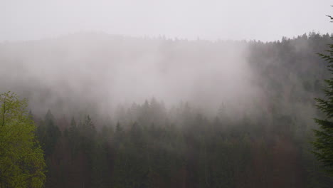 Snowy-mist-over-Zugspitze-idyllic-wintry-woodland-wilderness,-Bavaria