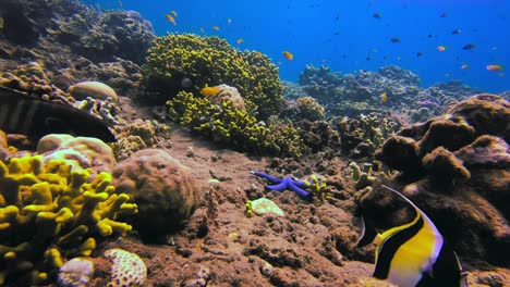 Epische-Unterwasseraufnahme-Von-Wimpelfischen,-Die-Mit-Anderen-Tropischen-Meeresarten-In-Einem-Gesunden-Korallengarten-Schwimmen