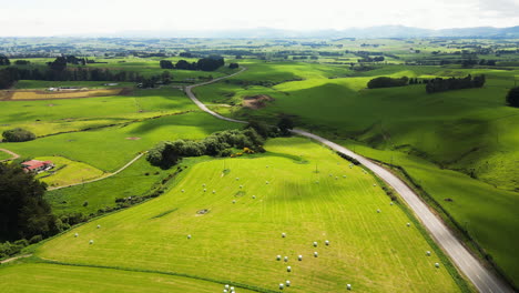 Landschaft-Mit-Landwirtschaftlichen-Feldern-Und-Hirten