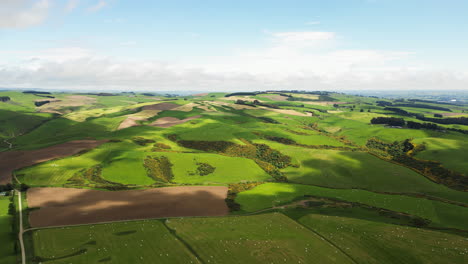 Aerial-dolly-right-over-agricultural-fields-on-sunny-day,-New-Zealand