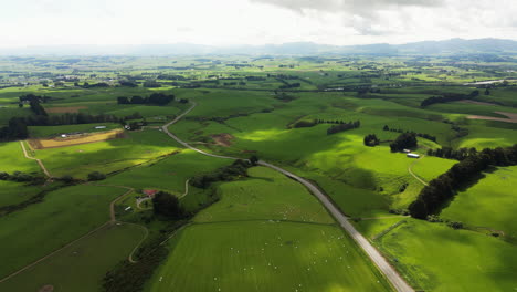 Luftaufnahme-Von-Feldern-Und-Weiden-Im-Weiten-Grün