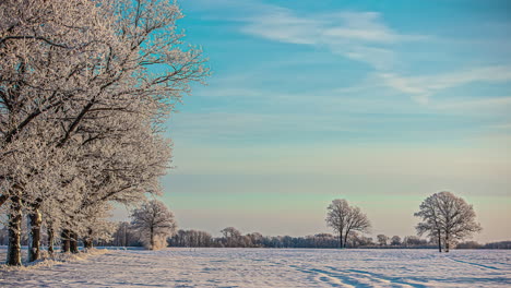 Schneebedeckte-Landwirtschaftliche-Felder-Und-Bäume-Mit-Blauem-Himmel,-Fusionszeitraffer