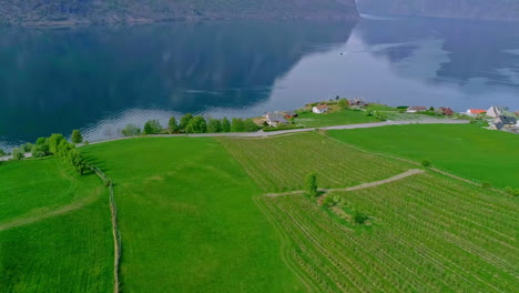 Aerial-drone-forward-moving-shot-over-village-houses-on-lush-green-vegetation-surrounded-by-mountainous-landscape-with-river-flowing-through-in-Norway-at-daytime