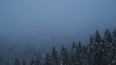 Dreamy-mysterious-fantasy-winter-alpine-woodland-on-Lake-Eisbee,-Bavaria
