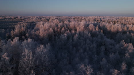4K-areal-sunset-footage-over-frozen-forests