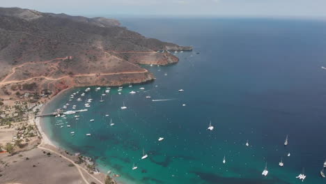 Aerial-view-of-Marina-bay-in-Catalina-Island,-many-boats-anchored-near-shore