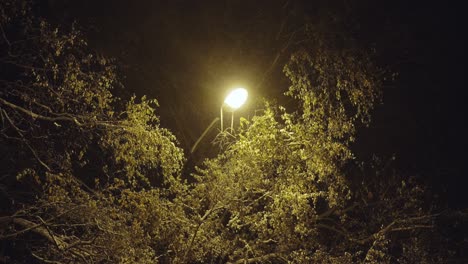 Energy-saving-concept-with-street-light-in-a-dark-evening-in-park