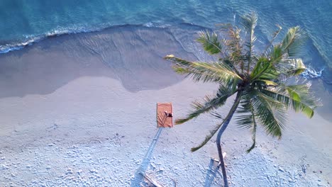 1-million-$-aerial-view-flight-drone-footage-of-a-yoga-girl-under-palmtree-at-sunset-seacret-beach-koh-kood-thailand-2022