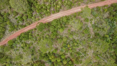 Aerial-shot-of-green-forest-and-dirt-road-in-the-forest