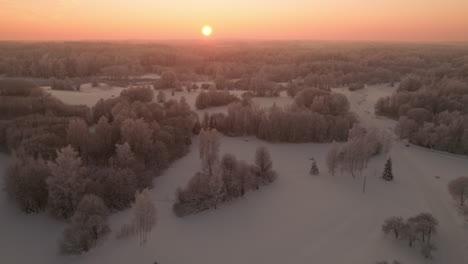 4K-Sonnenuntergangsaufnahmen-über-Gefrorenen-Wäldern