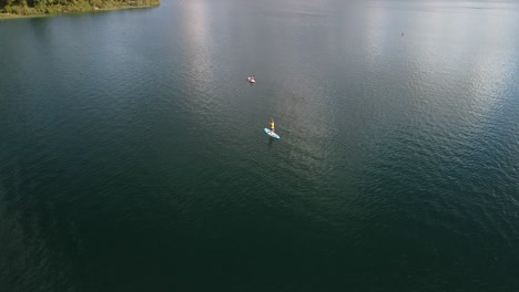 Lago-Azul,-Bosque-De-Palmeras-Y-Turista-En-Paddle-Bord-4k-Drone-Disparado-En-Nueva-Zelanda