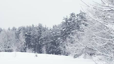 Establisher-shot-of-winter-landscape-wonderland,-field-and-trees-covered-in-snow